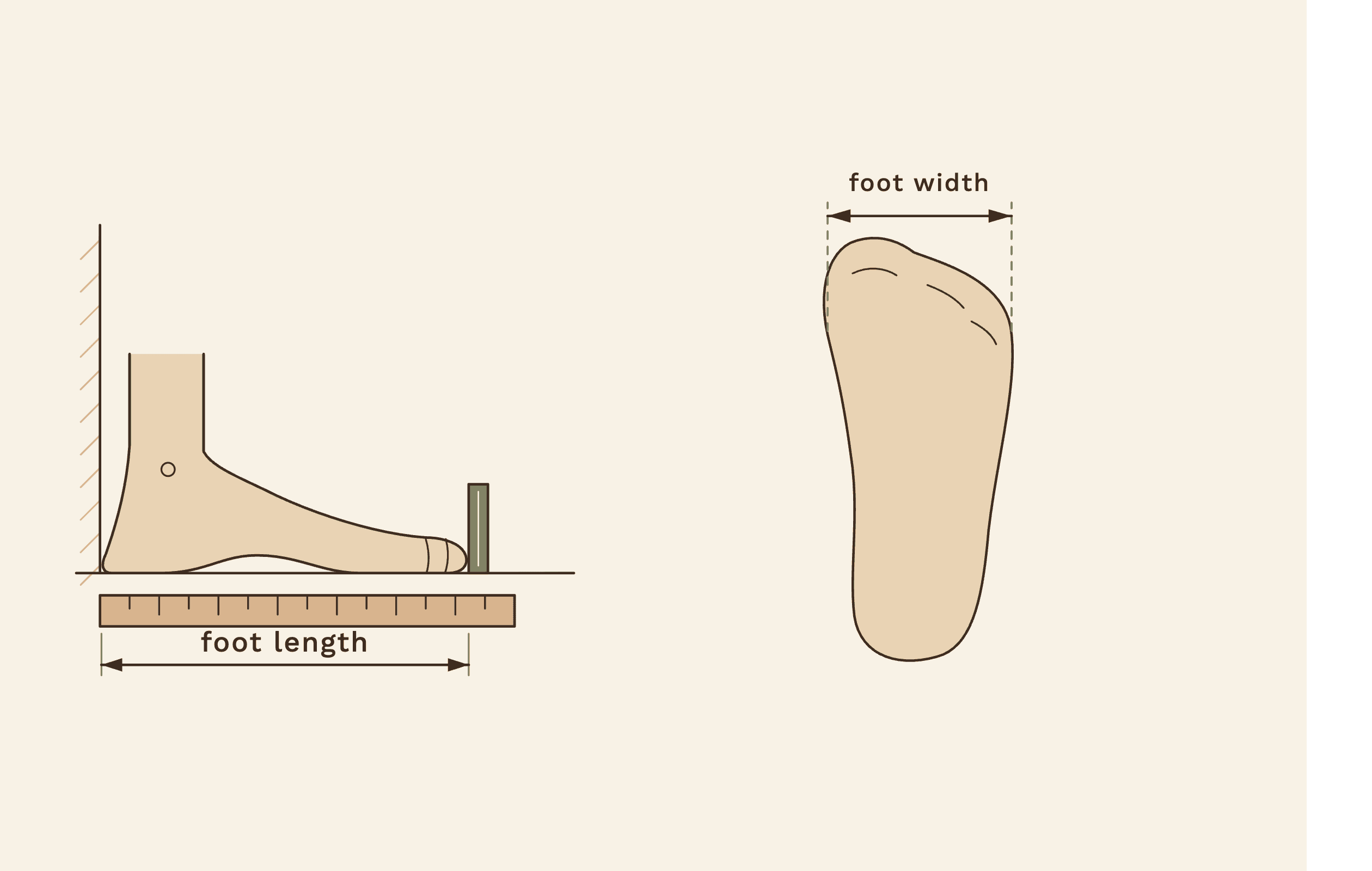 foot-length-and-width-diagram